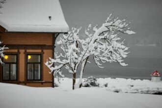 Hus med sne